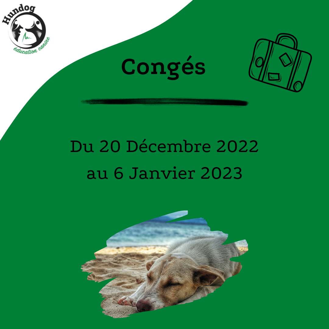 image de l'actu