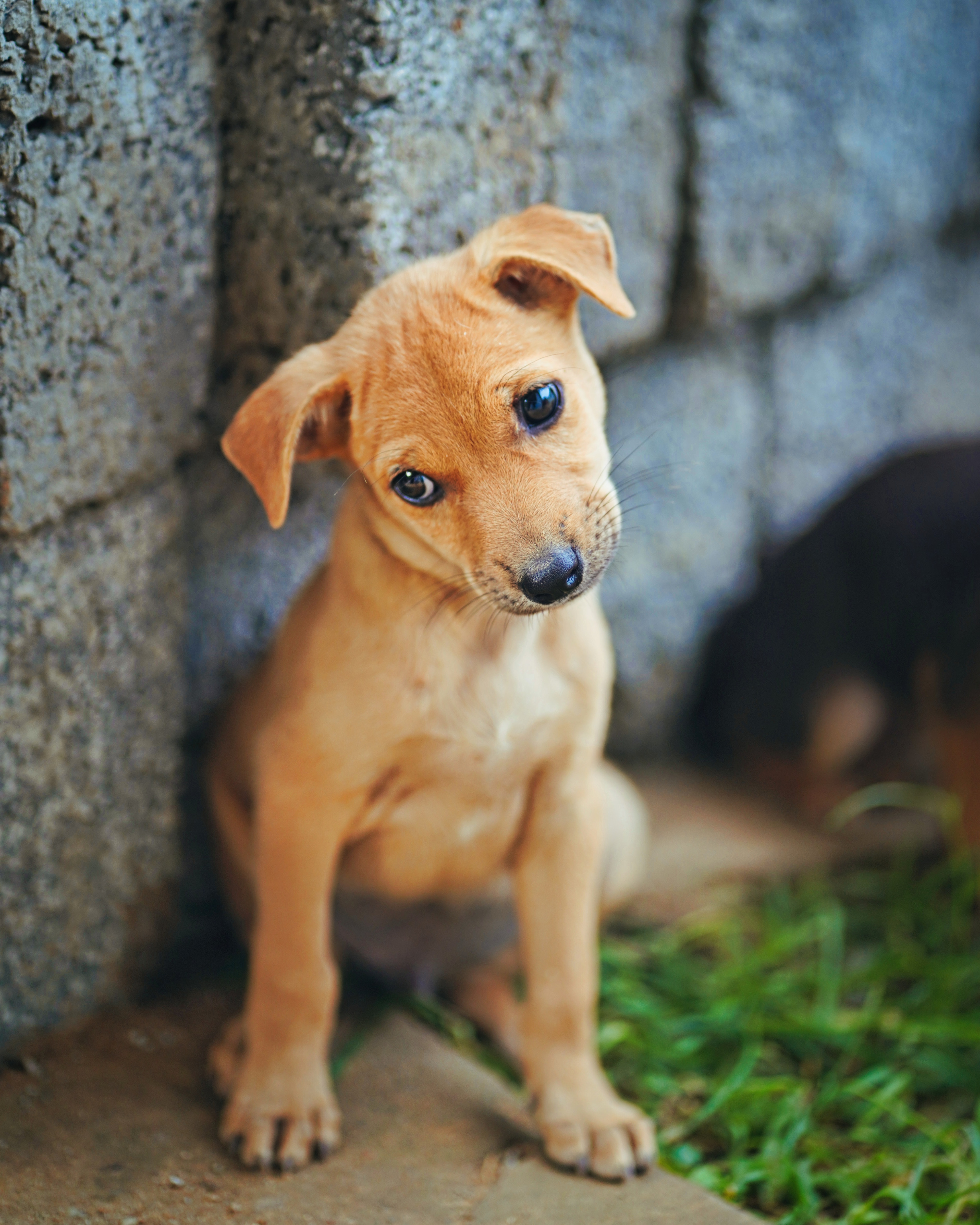 images cours